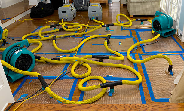 Professional Water Extraction technician working in Parsons, KS